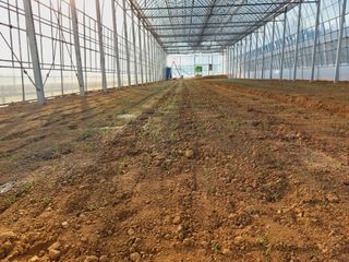 류우림님의 👩🏻‍🌾7월 농작업 계획 · 참여글 작성글 사진