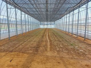 류우림님의 👩🏻‍🌾7월 농작업 계획 · 참여글 작성글 사진