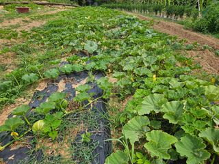 정동출님의 자유주제 · 자유게시판 작성글 사진