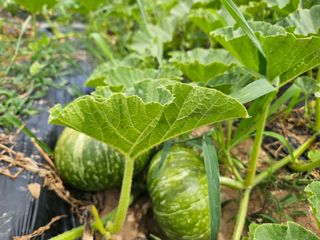 정동출님의 자유주제 · 자유게시판 작성글 사진