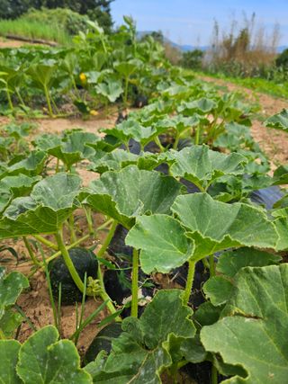 정동출님의 자유주제 · 자유게시판 작성글 사진