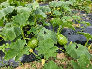 정동출님의 자유주제 · 자유게시판 작성글 사진