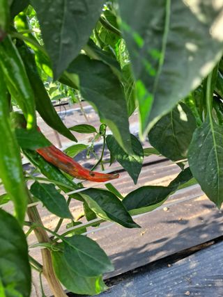 병찬님의 자유주제 · 자유게시판 작성글 사진