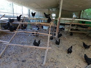 배경수 님의 자유주제 · 자유게시판 작성글 사진