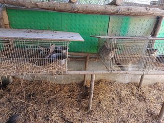 배경수 님의 자유주제 · 자유게시판 작성글 사진