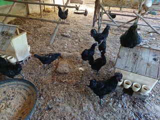 배경수 님의 자유주제 · 자유게시판 작성글 사진