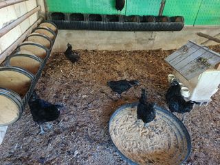 배경수 님의 자유주제 · 자유게시판 작성글 사진