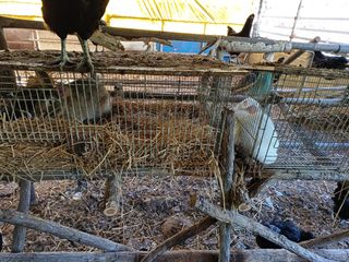 배경수 님의 자유주제 · 자유게시판 작성글 사진