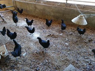 배경수 님의 자유주제 · 자유게시판 작성글 사진