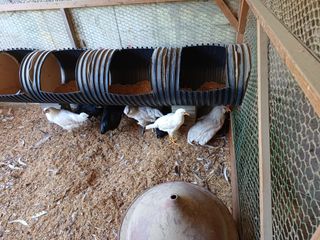 배경수 님의 자유주제 · 자유게시판 작성글 사진