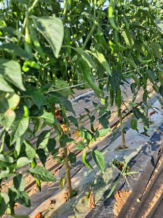 병찬님의 자유주제 · 자유게시판 작성글 사진