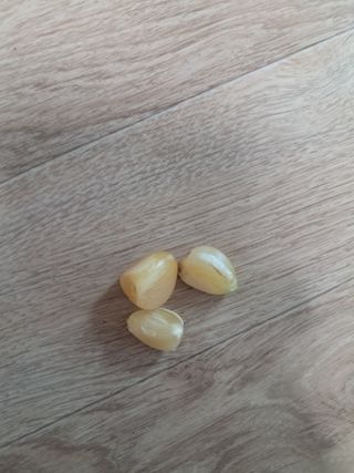 칠보산울림님의 자유주제 · 건의해요 작성글 사진