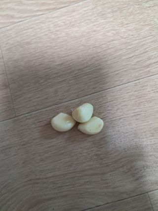 칠보산울림님의 자유주제 · 건의해요 작성글 사진