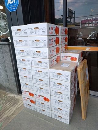 배경수 님의 복숭아 · 영농일지 작성글 사진