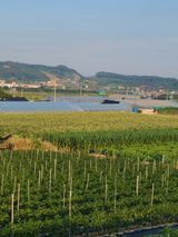 팜모닝 자유주제·자유게시판 게시글 이미지