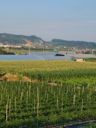 혹염소농장님의 자유주제 · 자유게시판 작성글 사진