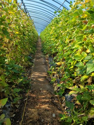 한태욱님의 자유주제 · 자유게시판 작성글 사진