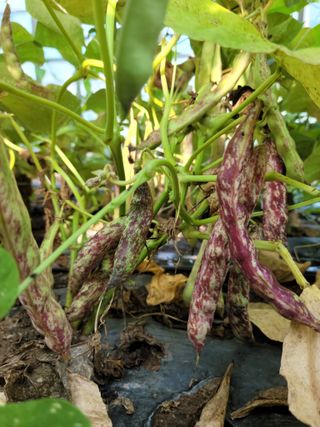 한태욱님의 자유주제 · 자유게시판 작성글 사진