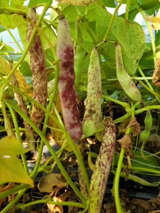 한태욱님의 자유주제 · 자유게시판 작성글 사진