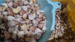 조한솔님의 작성글 사진