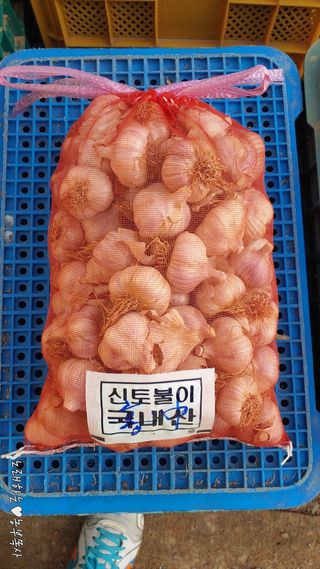 조한솔님의 작성글 사진