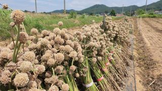 조한솔님의 작성글 사진
