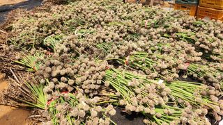 조한솔님의 작성글 사진