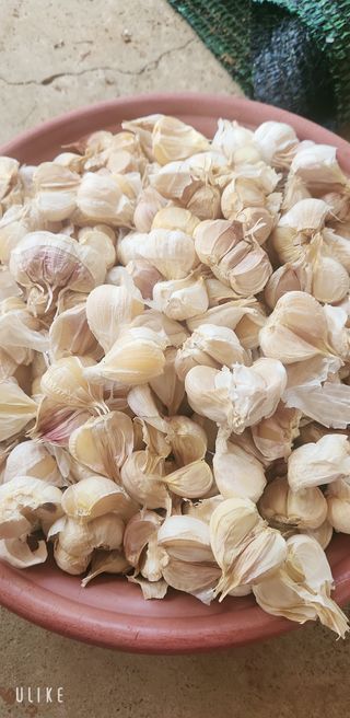 이제윤님의 자유주제 · 자유게시판 작성글 사진