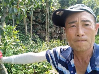 안성진님의 팜모닝 · 출석 작성글 사진