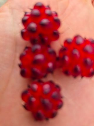 정분님의 고추 · 영농일지 작성글 사진