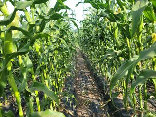 김순례님의 자유주제 · 자유게시판 작성글 사진