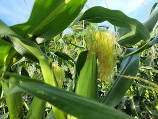 김순례님의 자유주제 · 자유게시판 작성글 사진