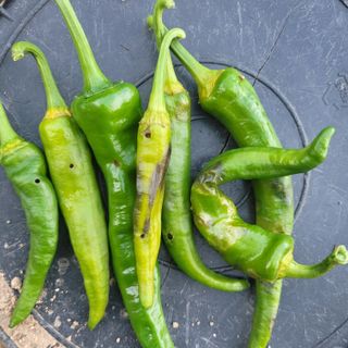 이창화님의 자유주제 · 자유게시판 작성글 사진