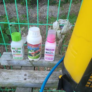 이창화님의 자유주제 · 자유게시판 작성글 사진