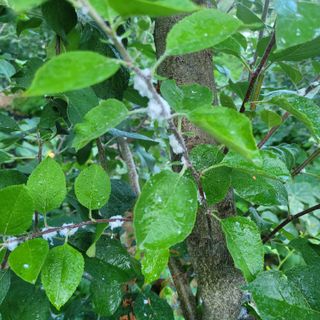 이창화님의 자유주제 · 자유게시판 작성글 사진