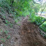 팜모닝 자유주제·자유게시판 게시글 이미지