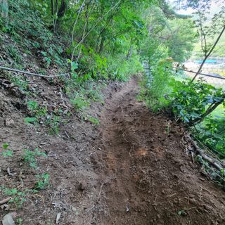 이종권님의 자유주제 · 자유게시판 작성글 사진