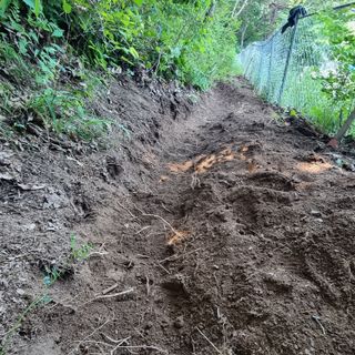 이종권님의 자유주제 · 자유게시판 작성글 사진