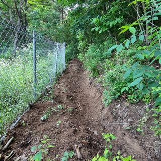 이종권님의 자유주제 · 자유게시판 작성글 사진