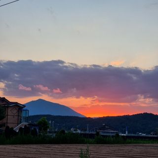 이종권님의 자유주제 · 자유게시판 작성글 사진