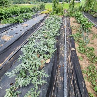 이종권님의 자유주제 · 자유게시판 작성글 사진