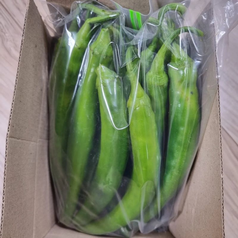 훈&팜님의 장터 판매 상품 [미인고추풋고추 500g] 첨부 사진