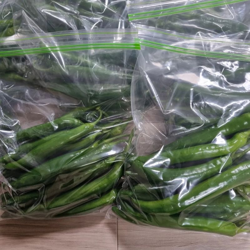 훈&팜님의 장터 판매 상품 [미인고추풋고추 500g] 첨부 사진