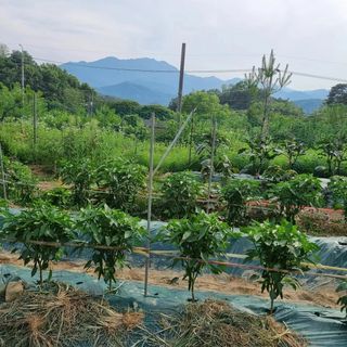 훈&팜님의 작성글 사진