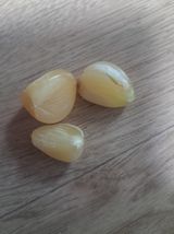 팜모닝 농사, 무엇이든 물어보세요!·참여글 게시글 이미지