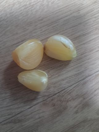 칠보산울림님의 농사, 무엇이든 물어보세요! · 참여글 작성글 사진