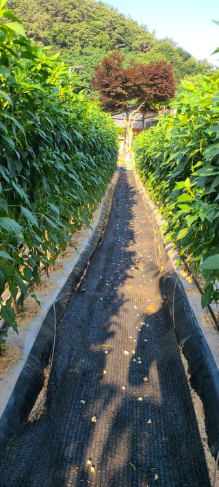 잿고개님의 자유주제 · 자유게시판 작성글 사진