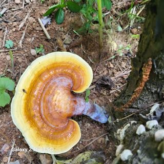 양일봉님의 자유주제 · 자유게시판 작성글 사진