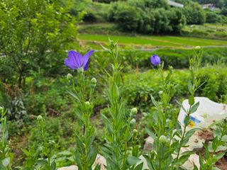 포도21806님의 자유주제 · 자유게시판 작성글 사진