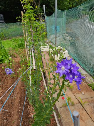 포도21806님의 자유주제 · 자유게시판 작성글 사진